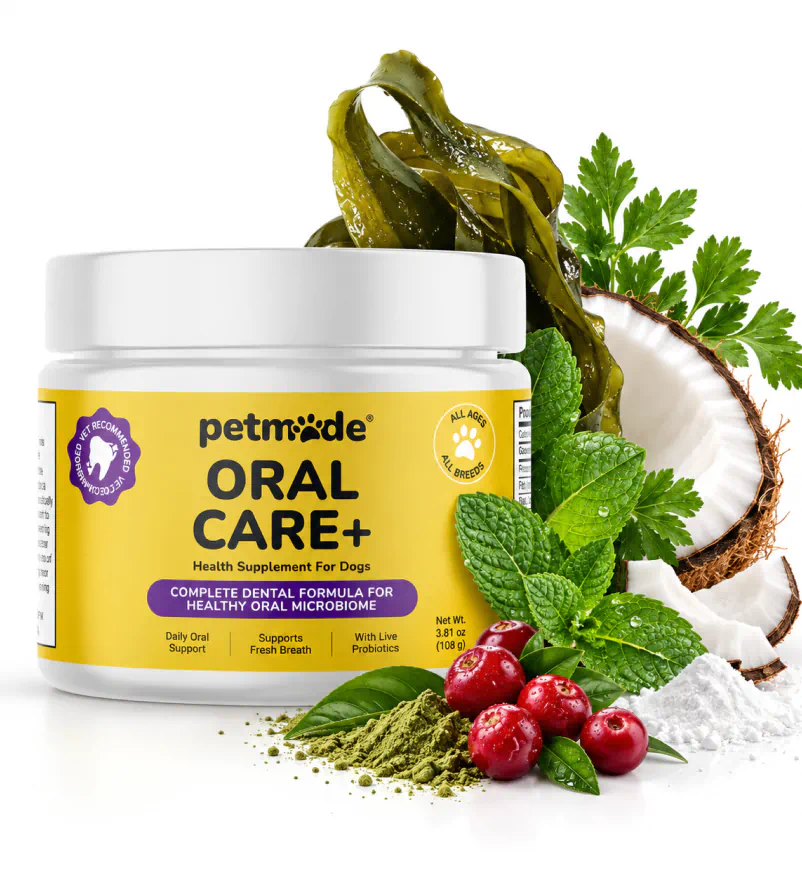 Dog teeth cleaning powder with kelp, coconut, mint and cranberries
