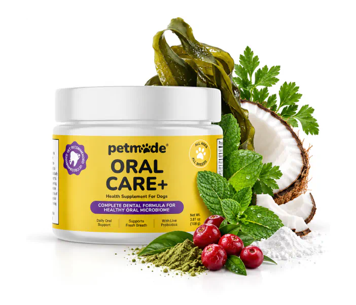 Dog teeth cleaning powder with kelp, coconut, mint and cranberries