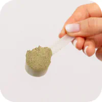 Scoop of PetMade Oral Care+ powder