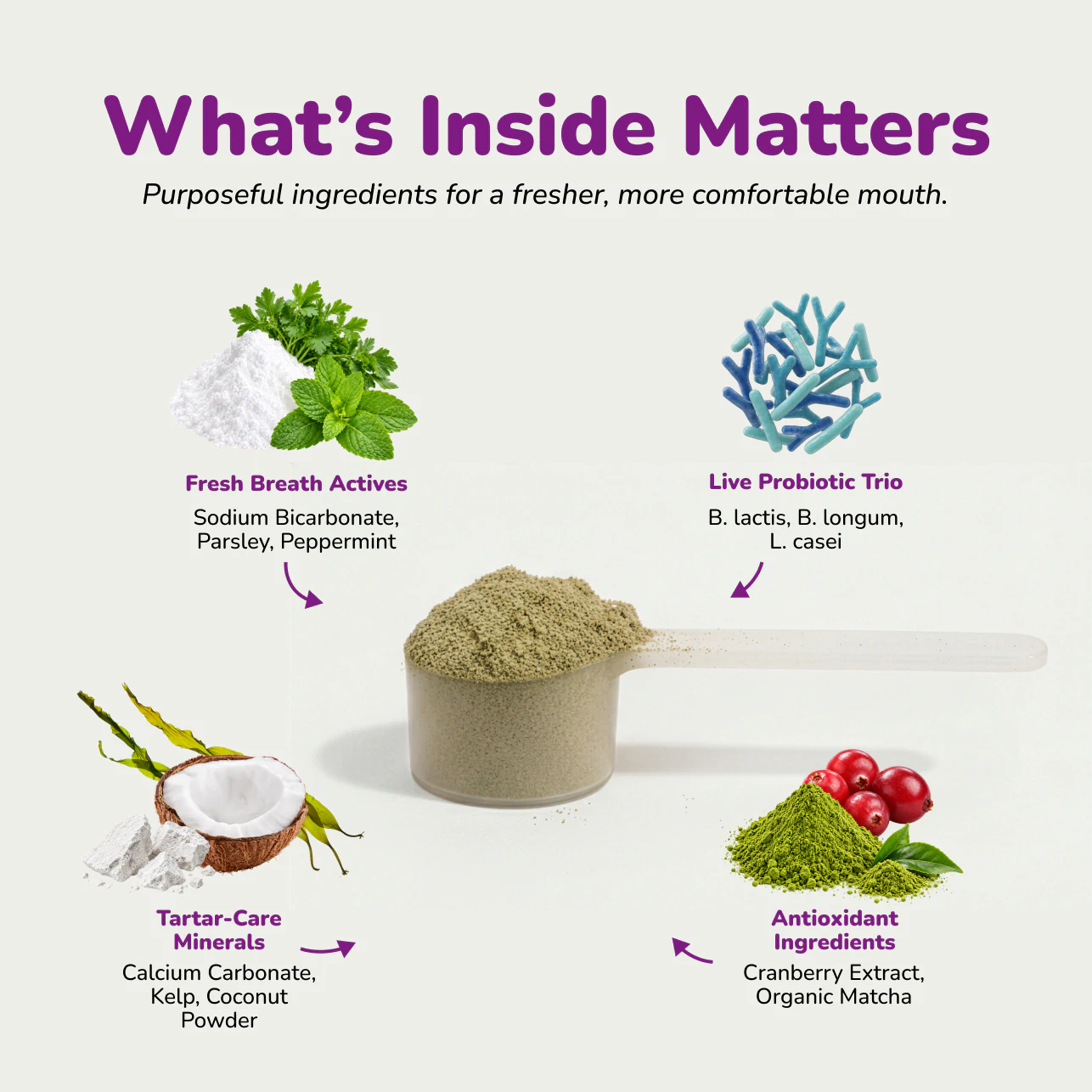 Natural dental powder for dogs with probiotics, cranberry and matcha