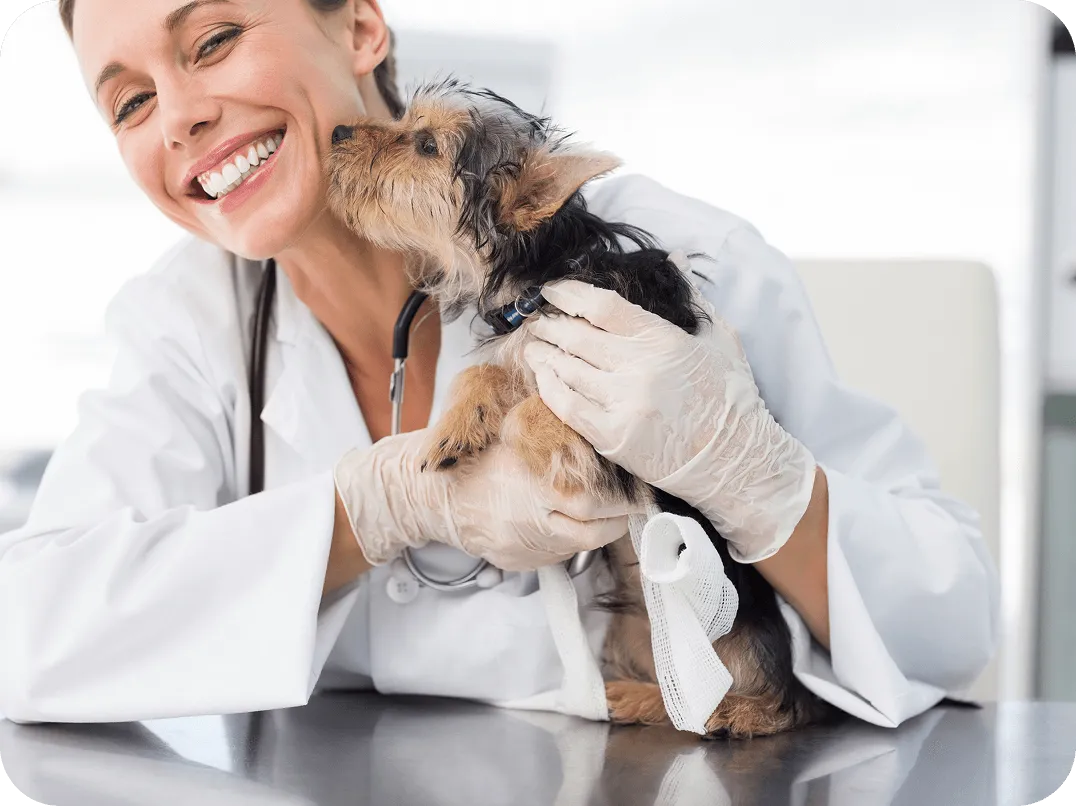A happy dog and a VET