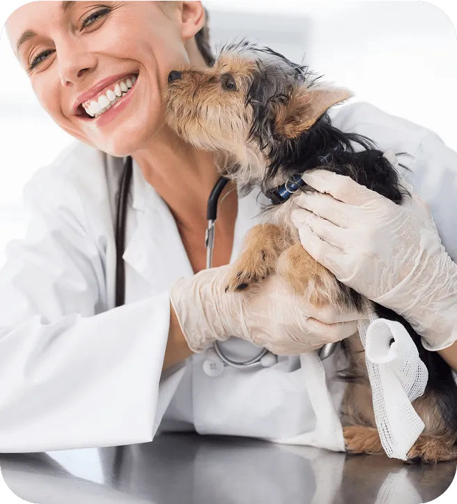 A happy dog and a VET