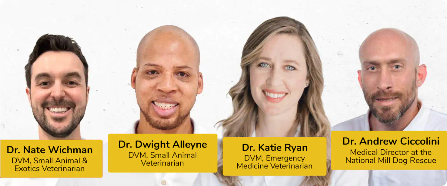 PetMade's advisory Board: Dr. Nate Wichmann, Dr. Dwight Alleyne, Dr. Katie Ryan, Dr. Andrew Ciccolini