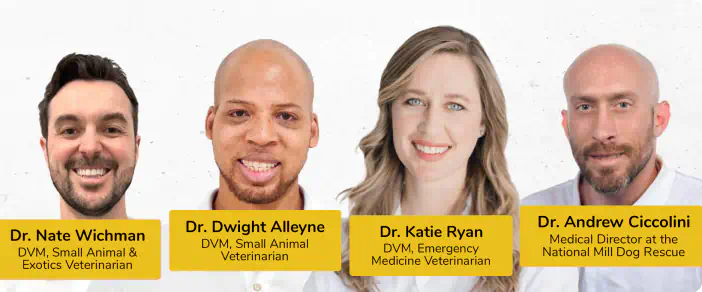 PetMade's advisory Board: Dr. Nate Wichmann, Dr. Dwight Alleyne, Dr. Katie Ryan, Dr. Andrew Ciccolini