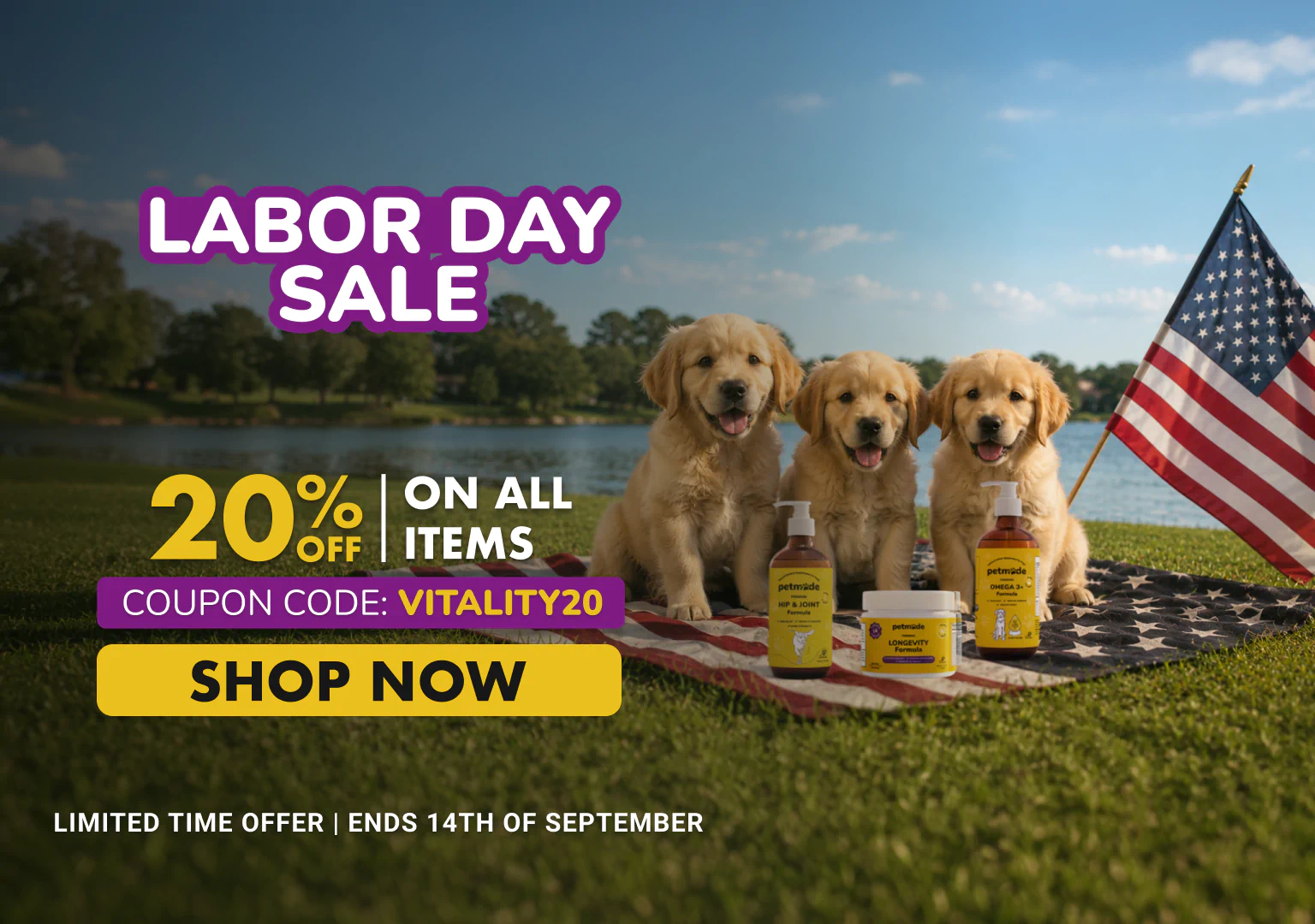 limited time offer