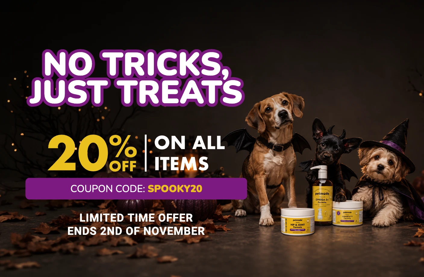 sale banner