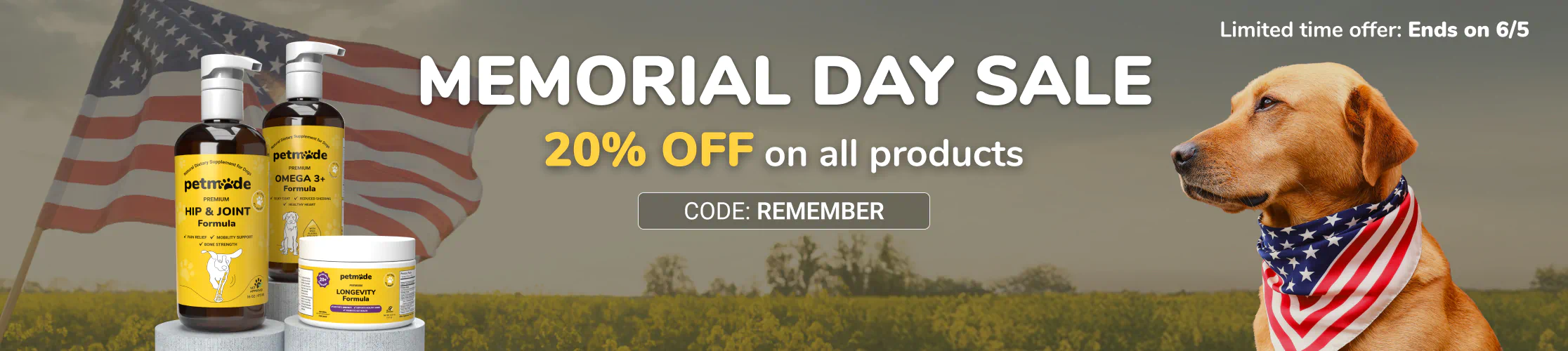sale banner