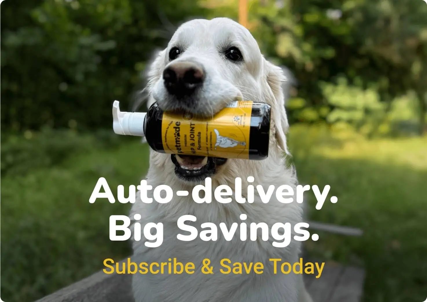 bigSavings