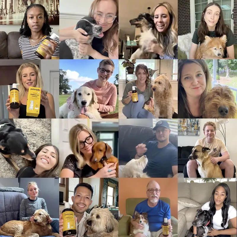 Happy PetMade customers with their dogs and products