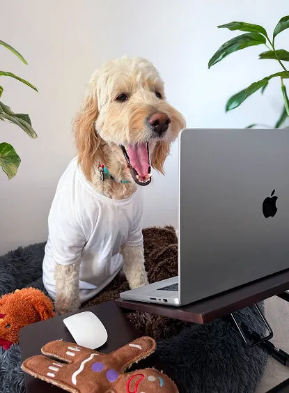 Helper