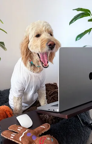 Helper