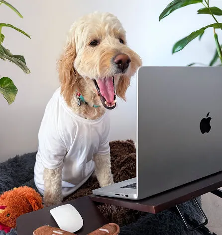 Helper