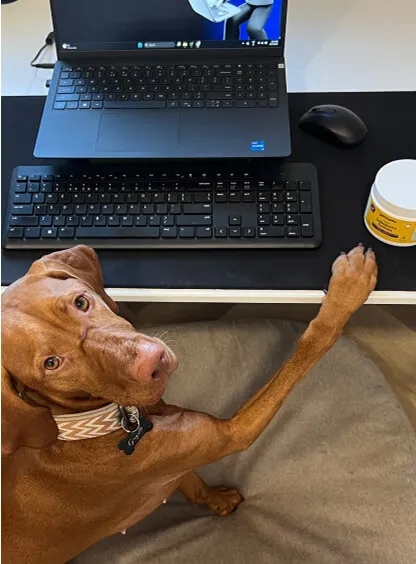 Helper