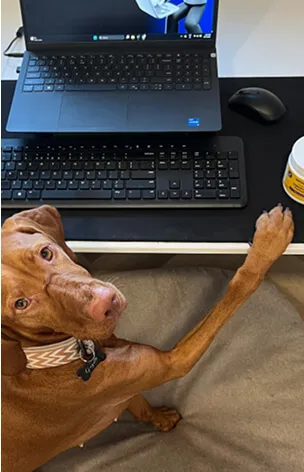 Helper