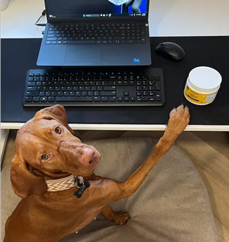Helper