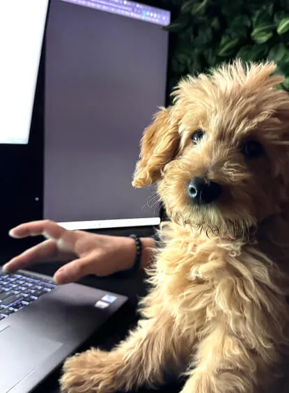 Helper
