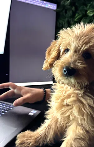Helper