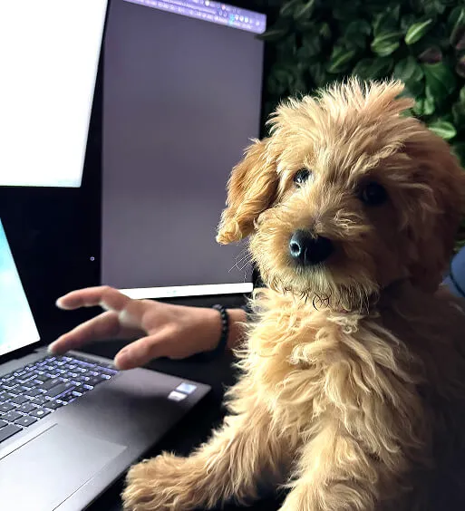 Helper