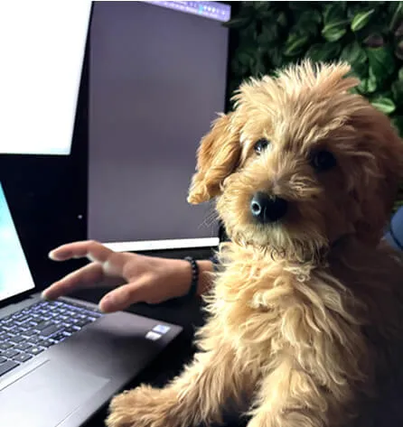 Helper
