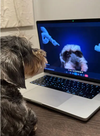 Helper
