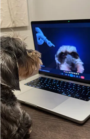 Helper