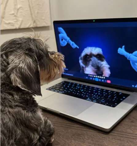Helper