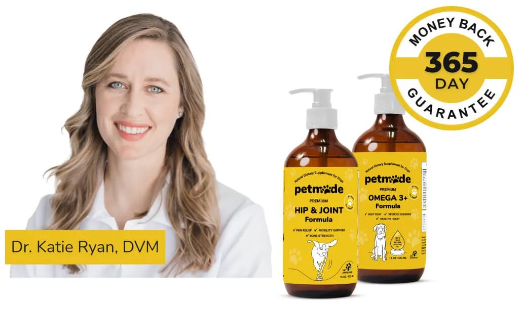 PetMade’s Anti-Inflammatory Daily Bundle with Dr. Katie Ryan
