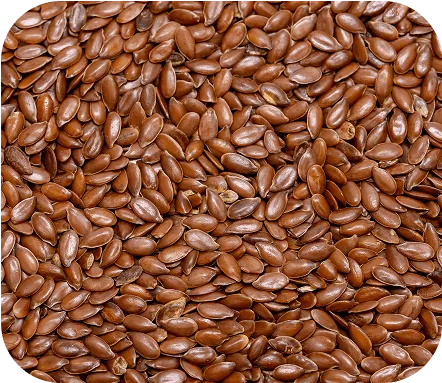Flaxseeds